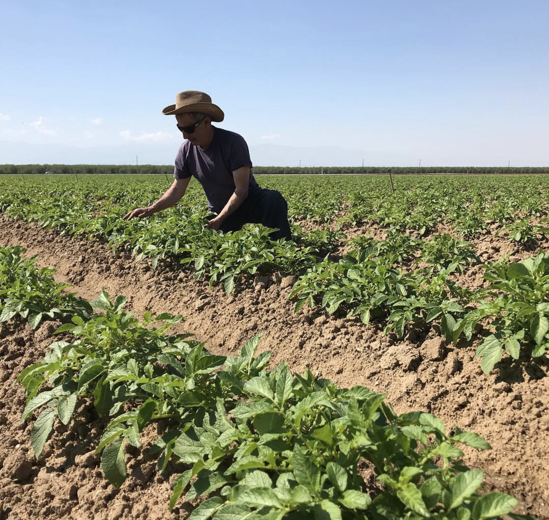 Weiser Family Farms