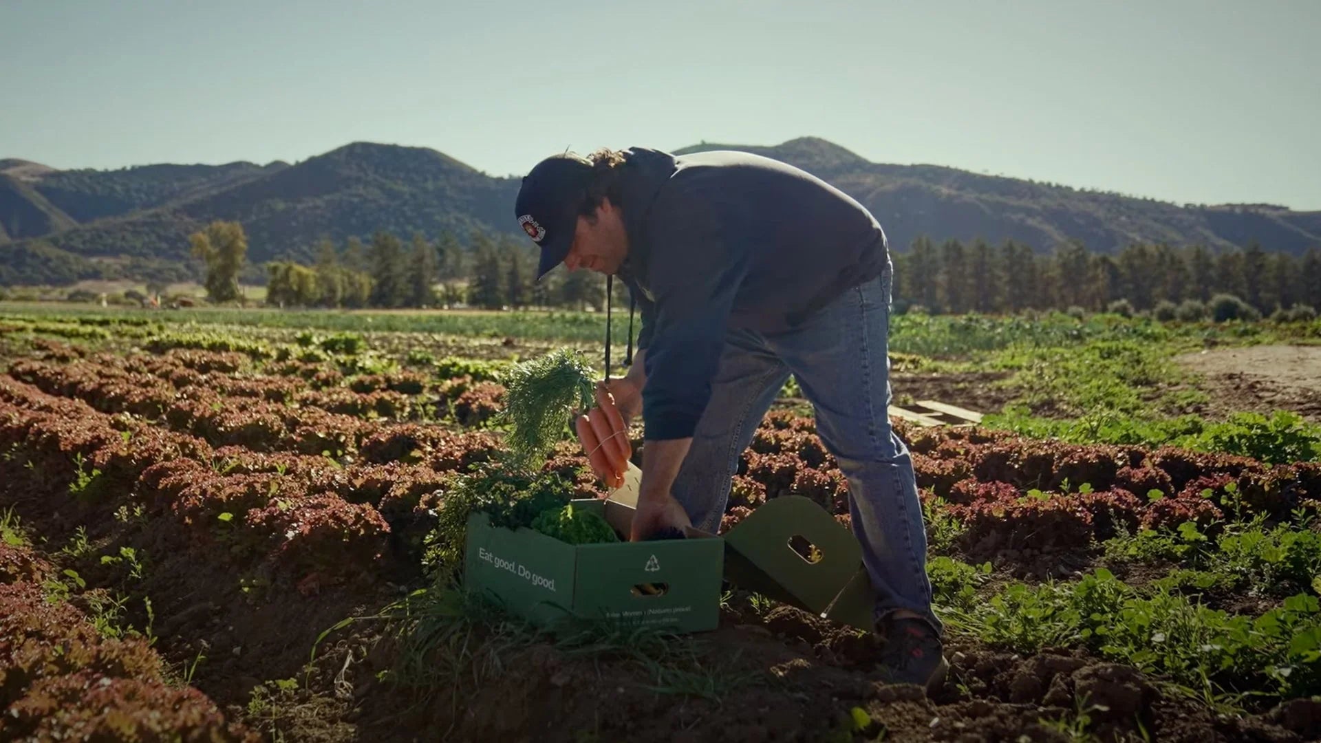 Sunrise Organic Farms