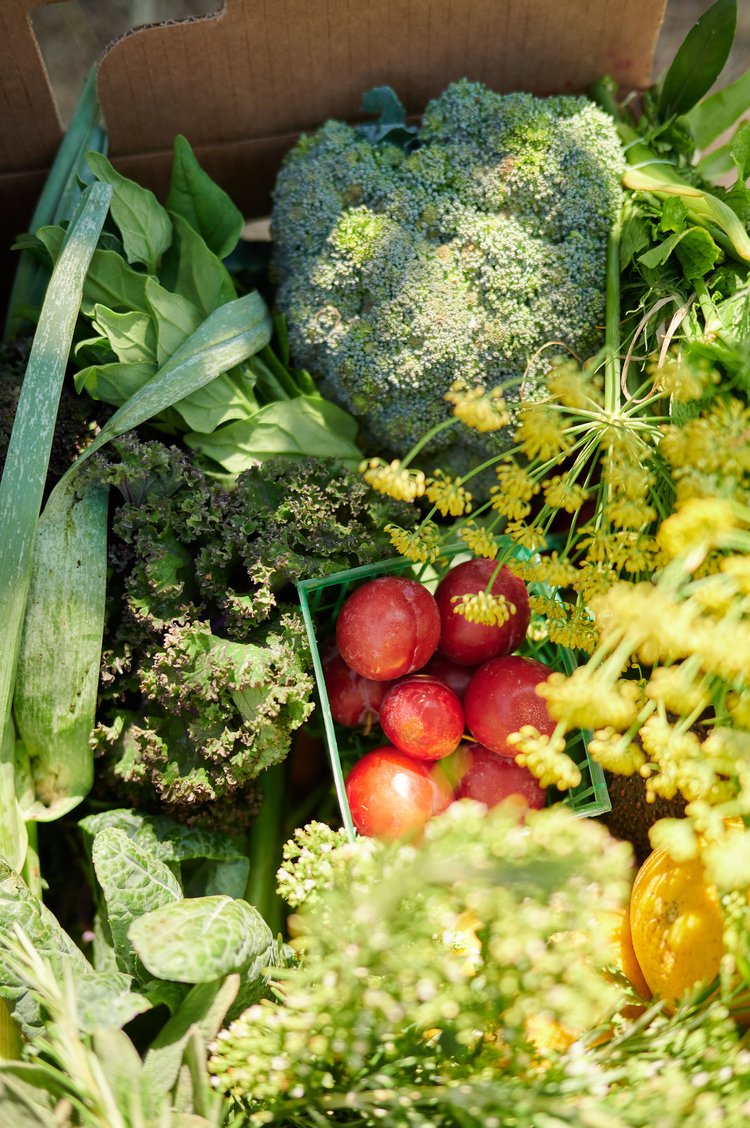 Fresh Veggie Box