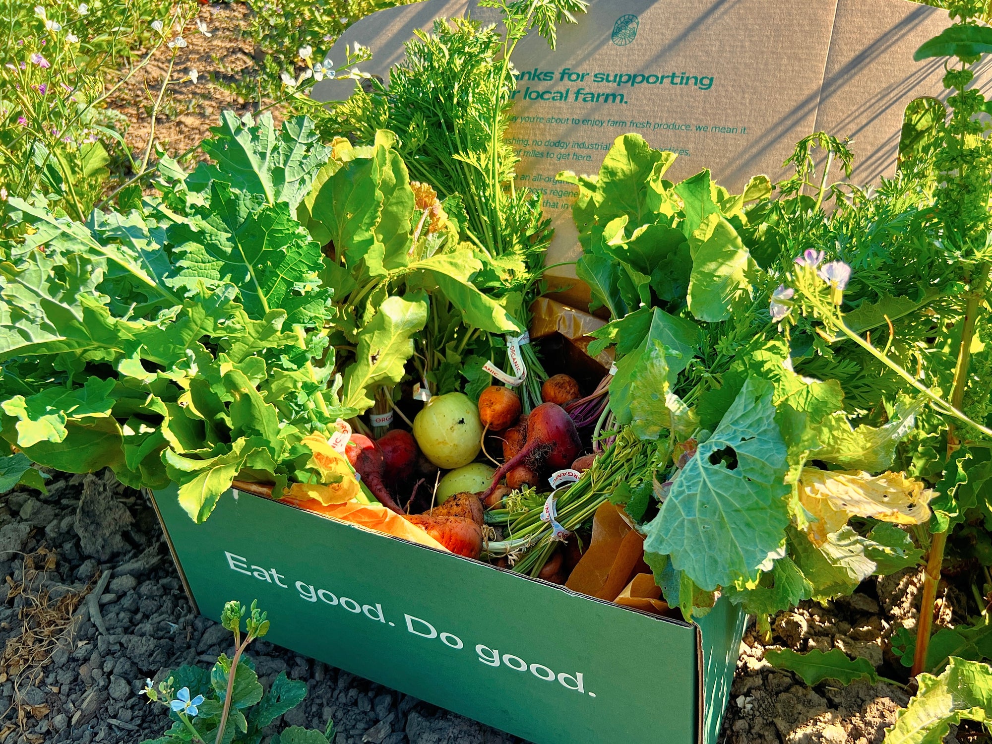 Fresh Veggie Box