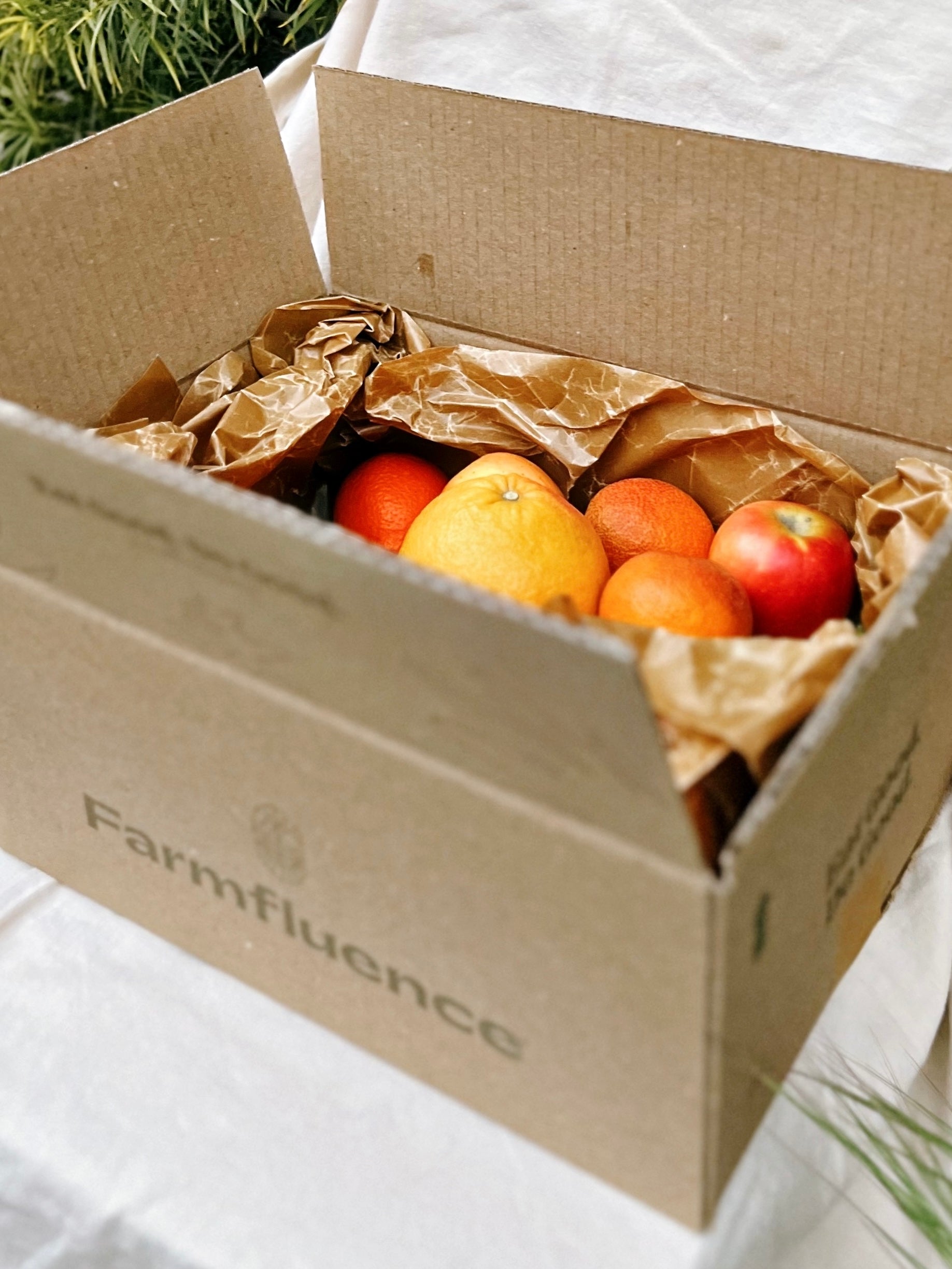 Fresh Fruit Box